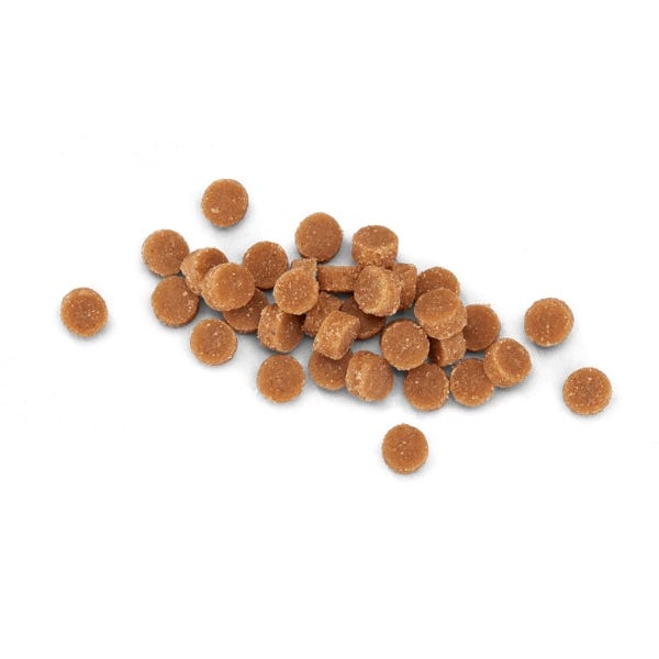 Healthy and grain-free Tiki Cat Soft & Chewy Chicken Mini Treats with DHA for brain development