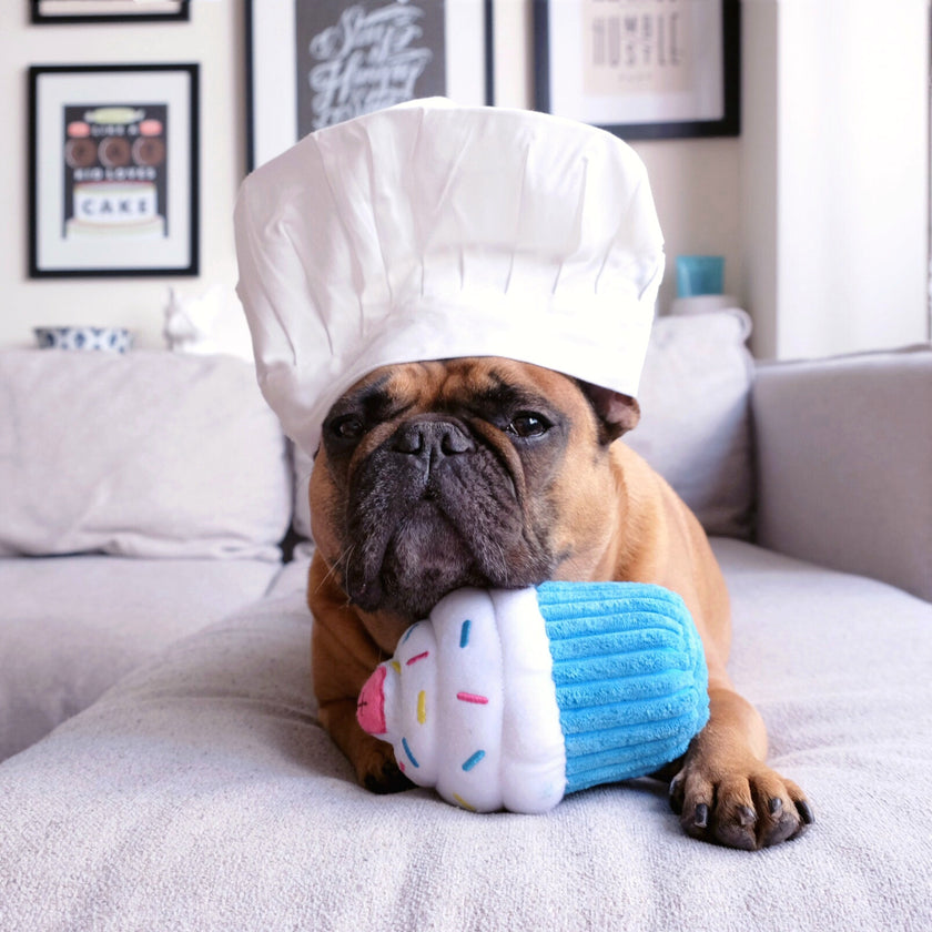 ZippyPaws Cupcake Dog Toy - Blue