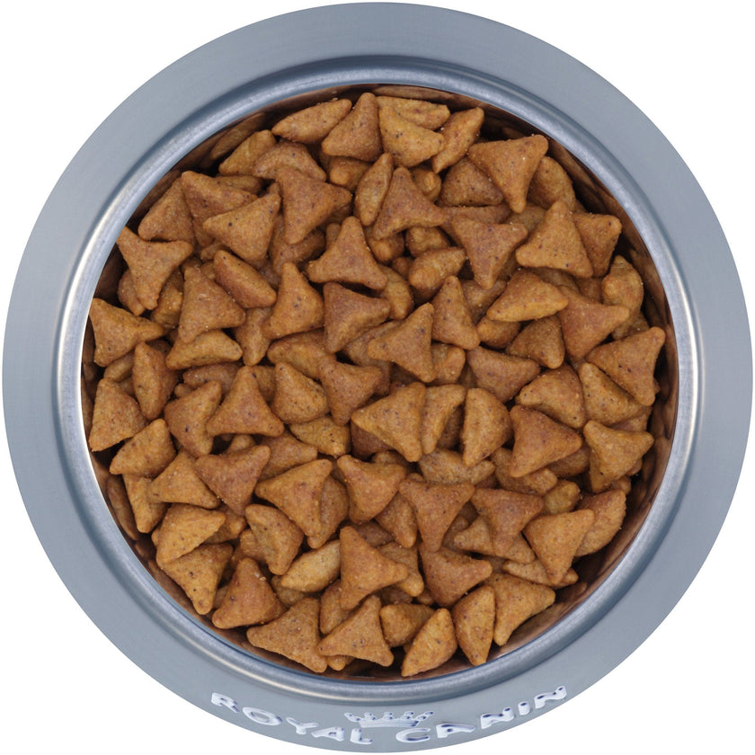 Royal Canin FHN Indoor Adult Kibble