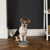 Scandi Non-Tip Pet Bowl - Grey - 0.4L (14cm/5.5in)